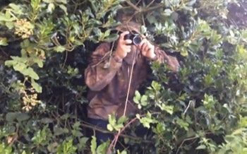 The Turdinator at work hiding in the bushes