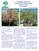 March 2007 newsletter